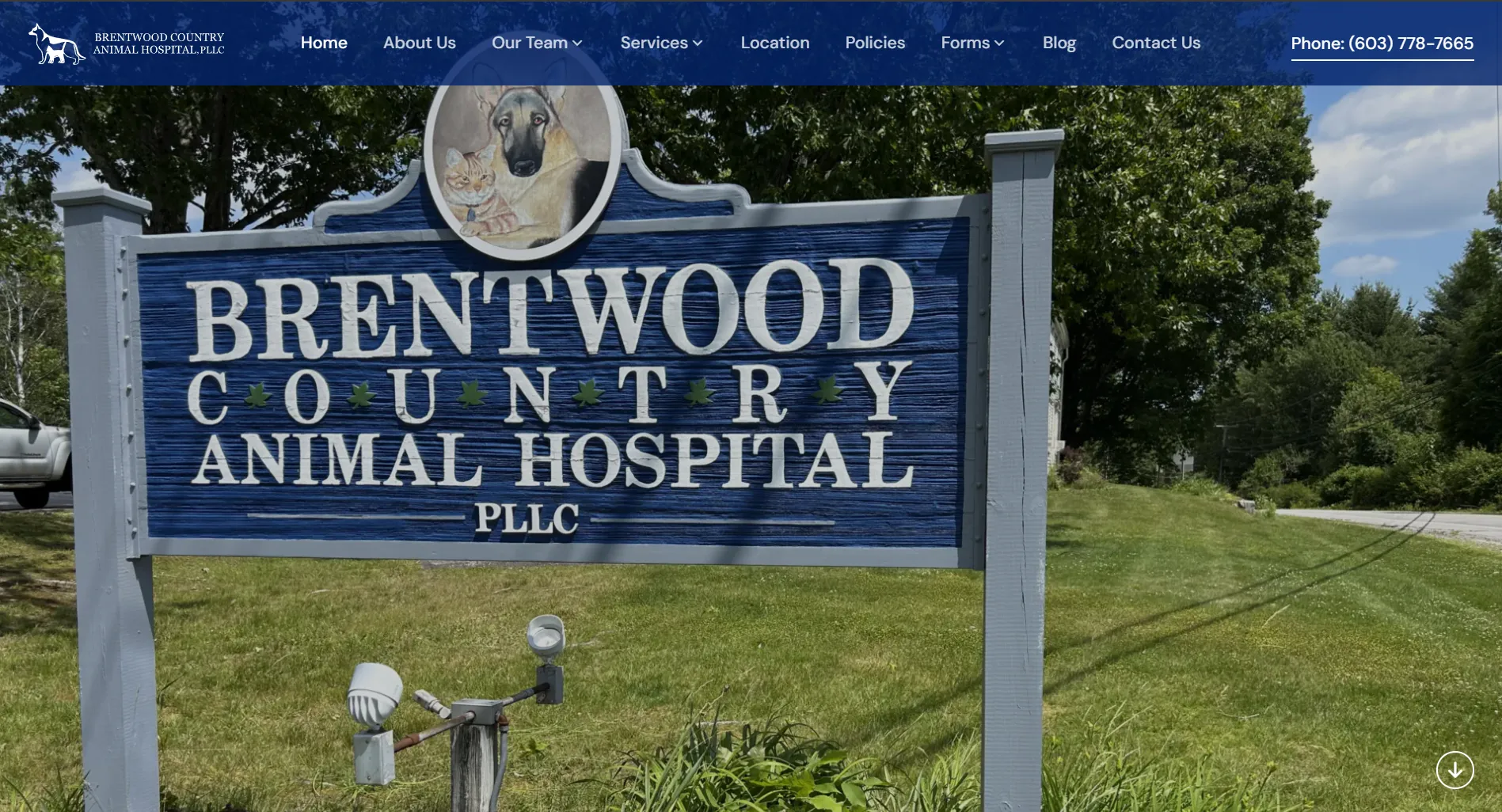 Brentwood Country Animal Hospital